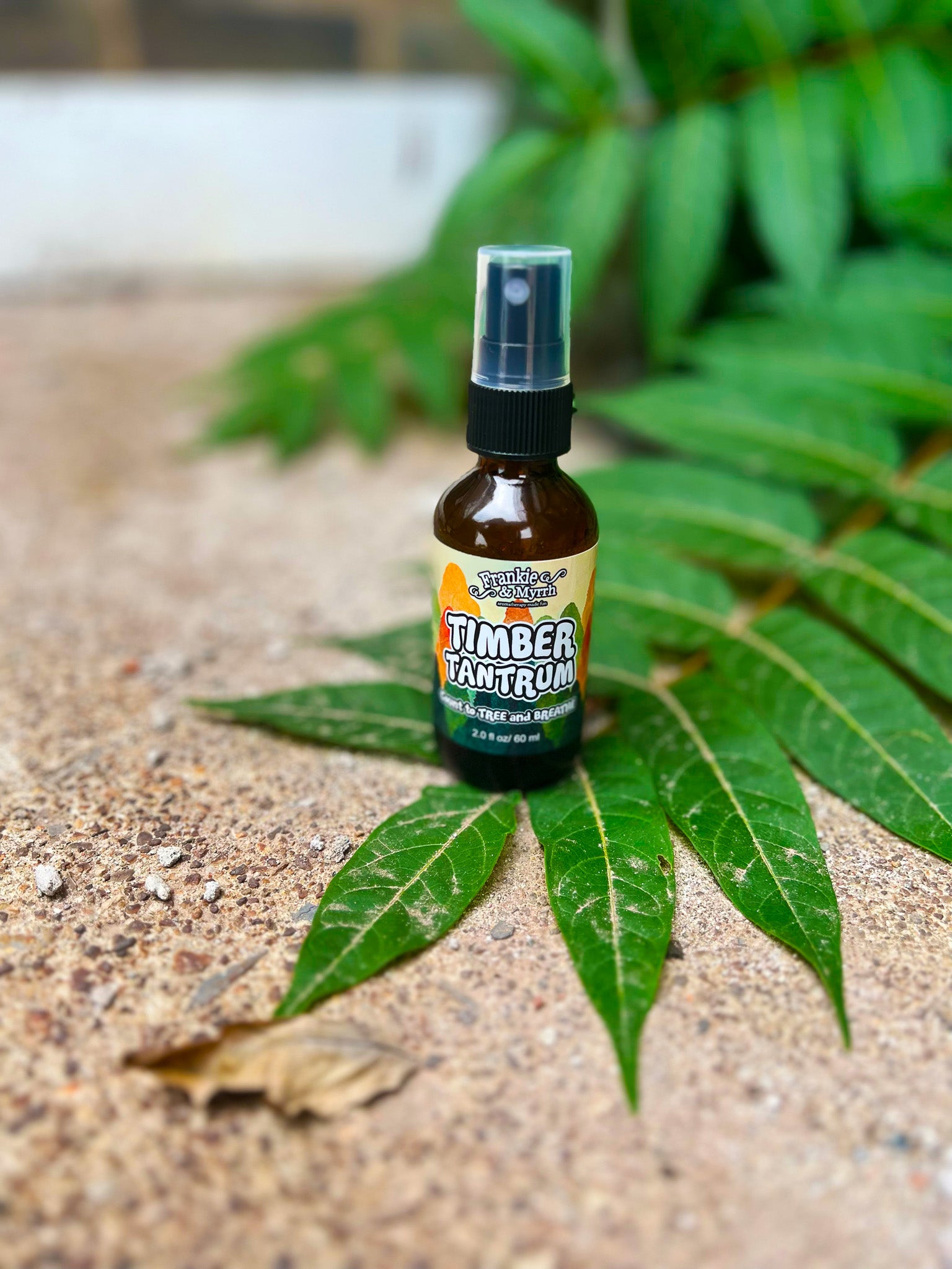 Timber Tantrum | Wild Spruce Cedar Fir Spray
