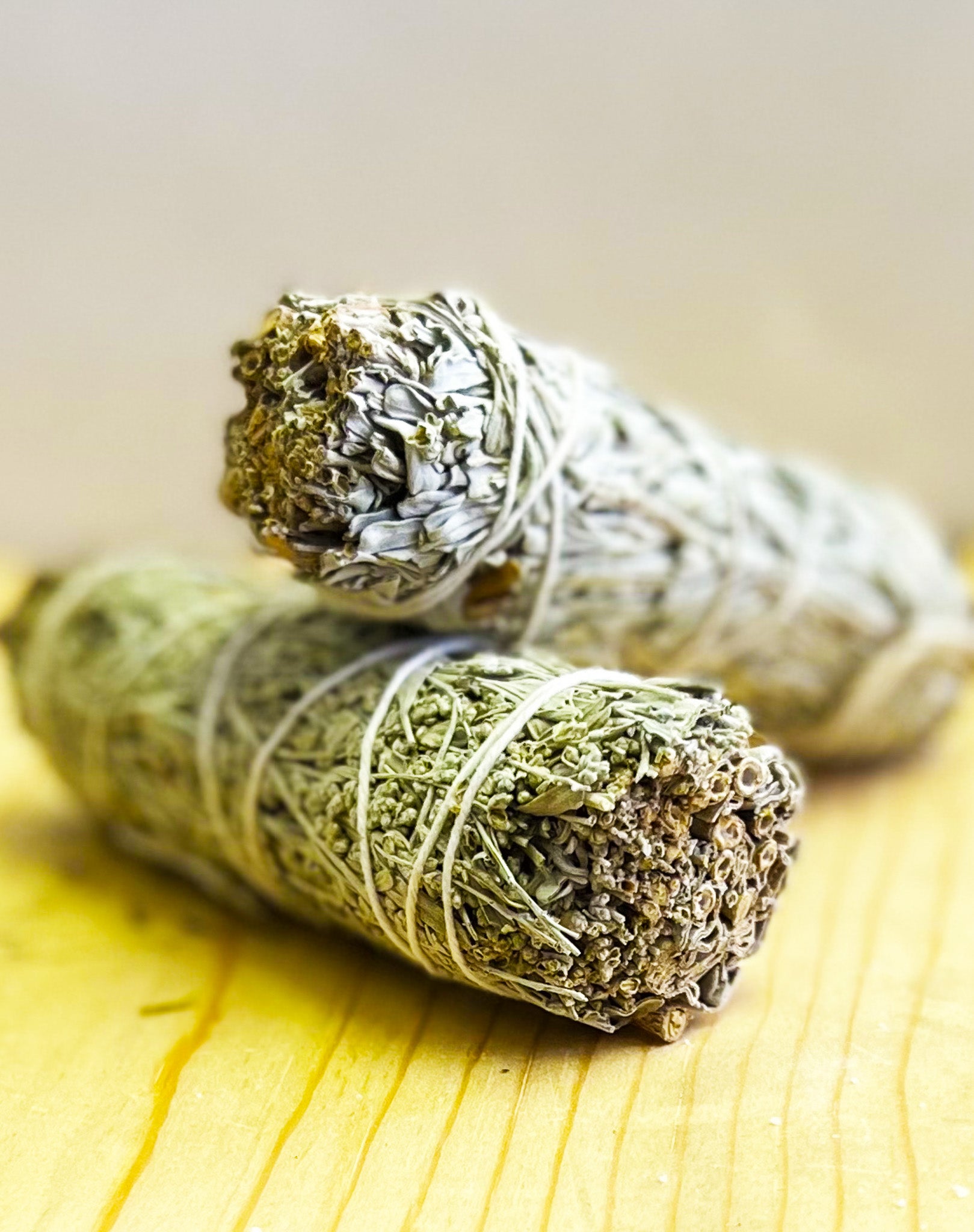 2 Pack Blue and White Sage 4" Smudge Stick