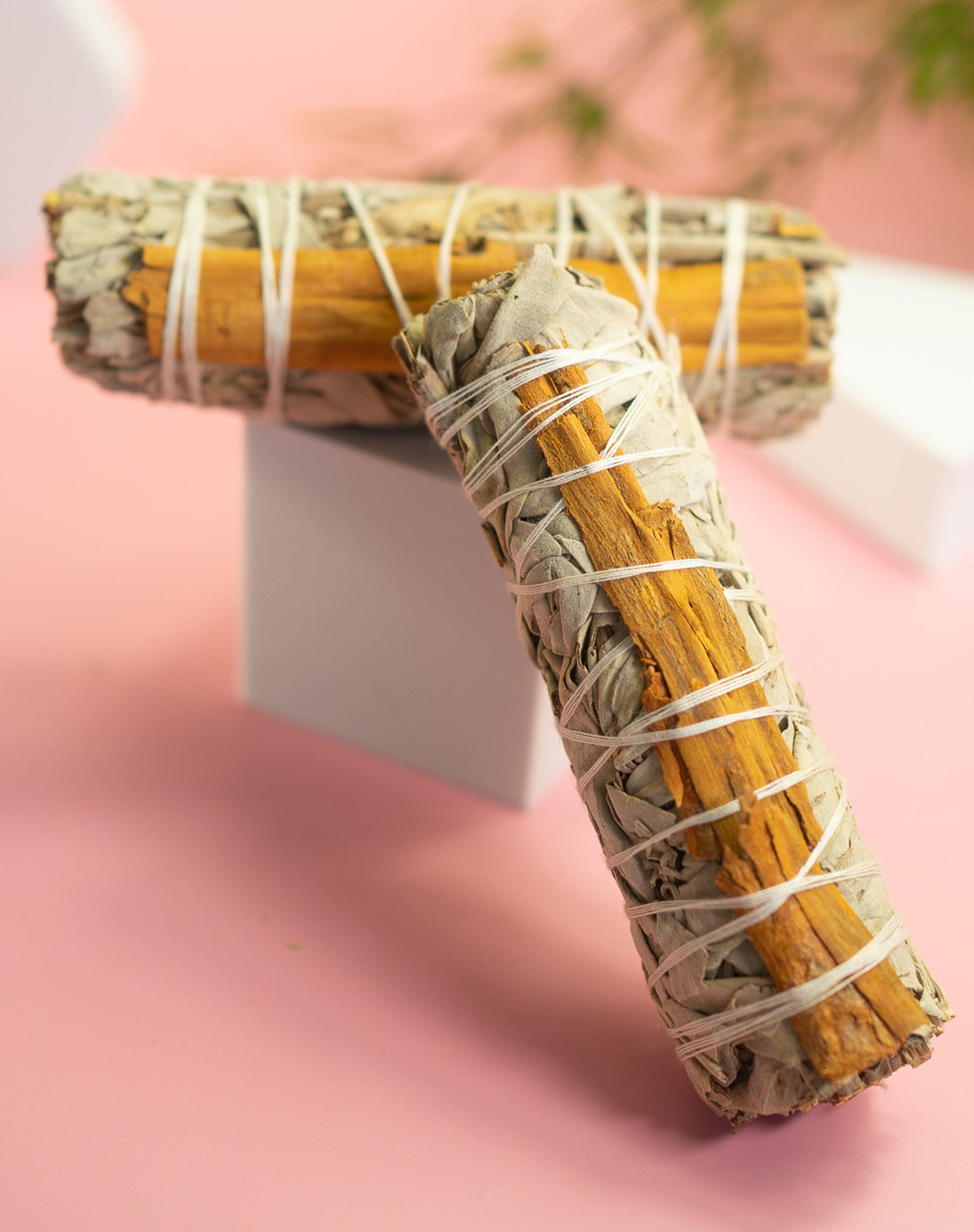 2 Pack White Sage w/ Cinnamon 4" Smudge Stick