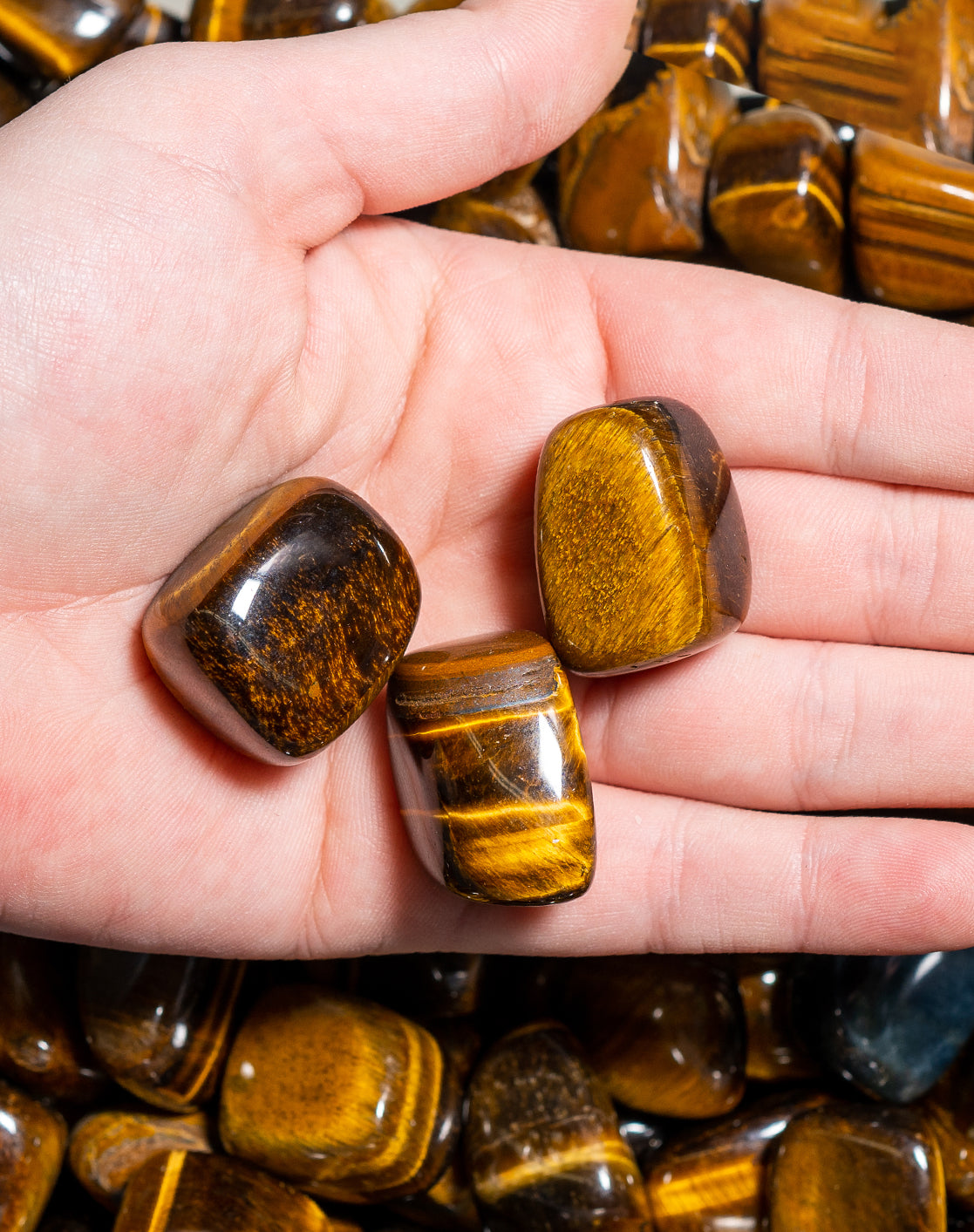 Tiger's Eye Tumbled Crystals Set of 3 (1 Inch)