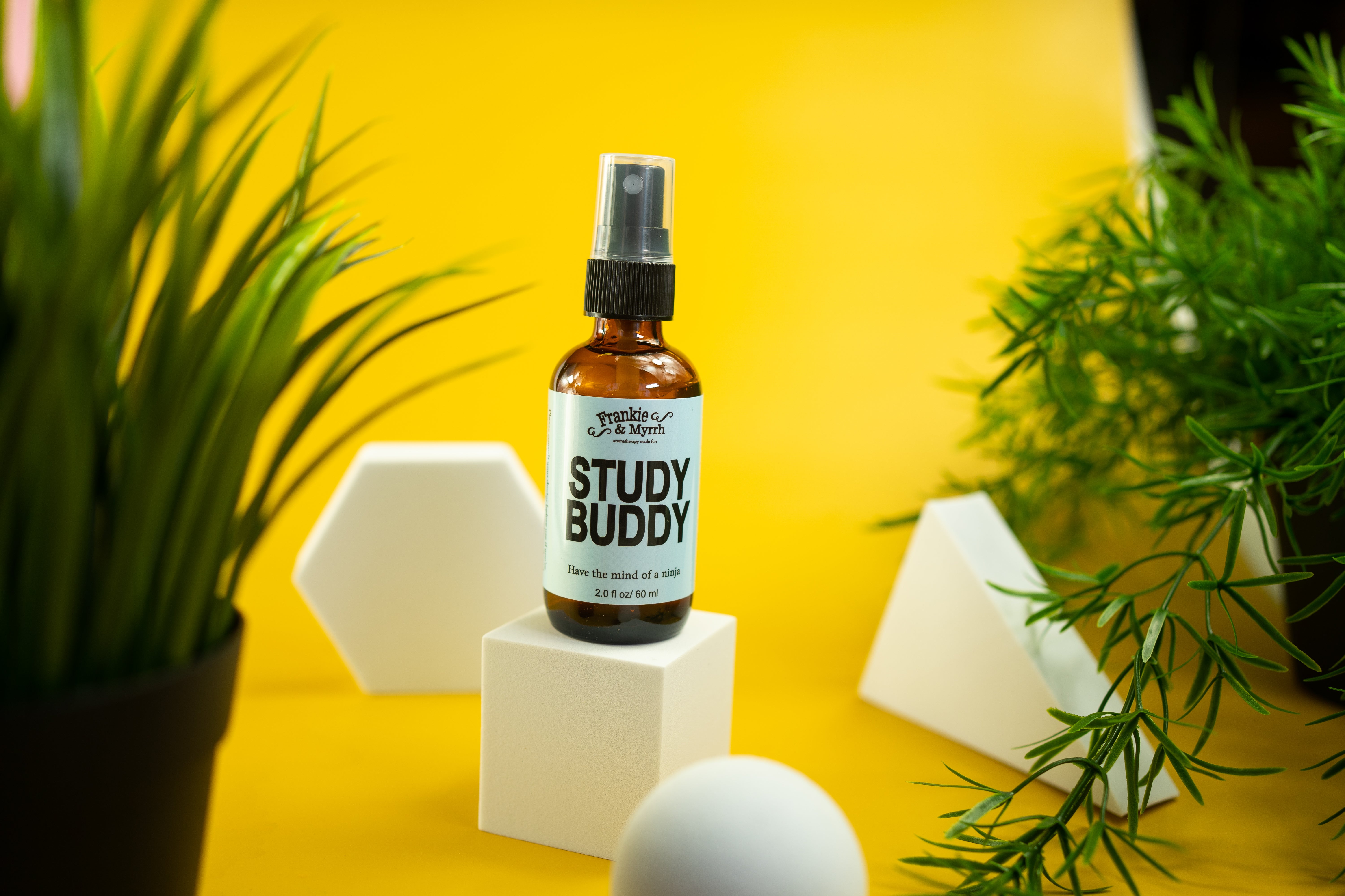 Study Buddy | Focusing Energy Spray