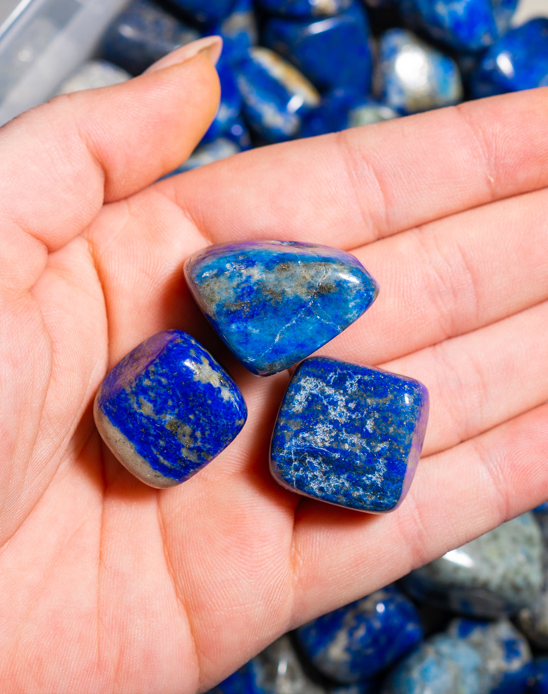 Lapis Lazuli Tumbled Crystals Set of 3 (1 Inch)