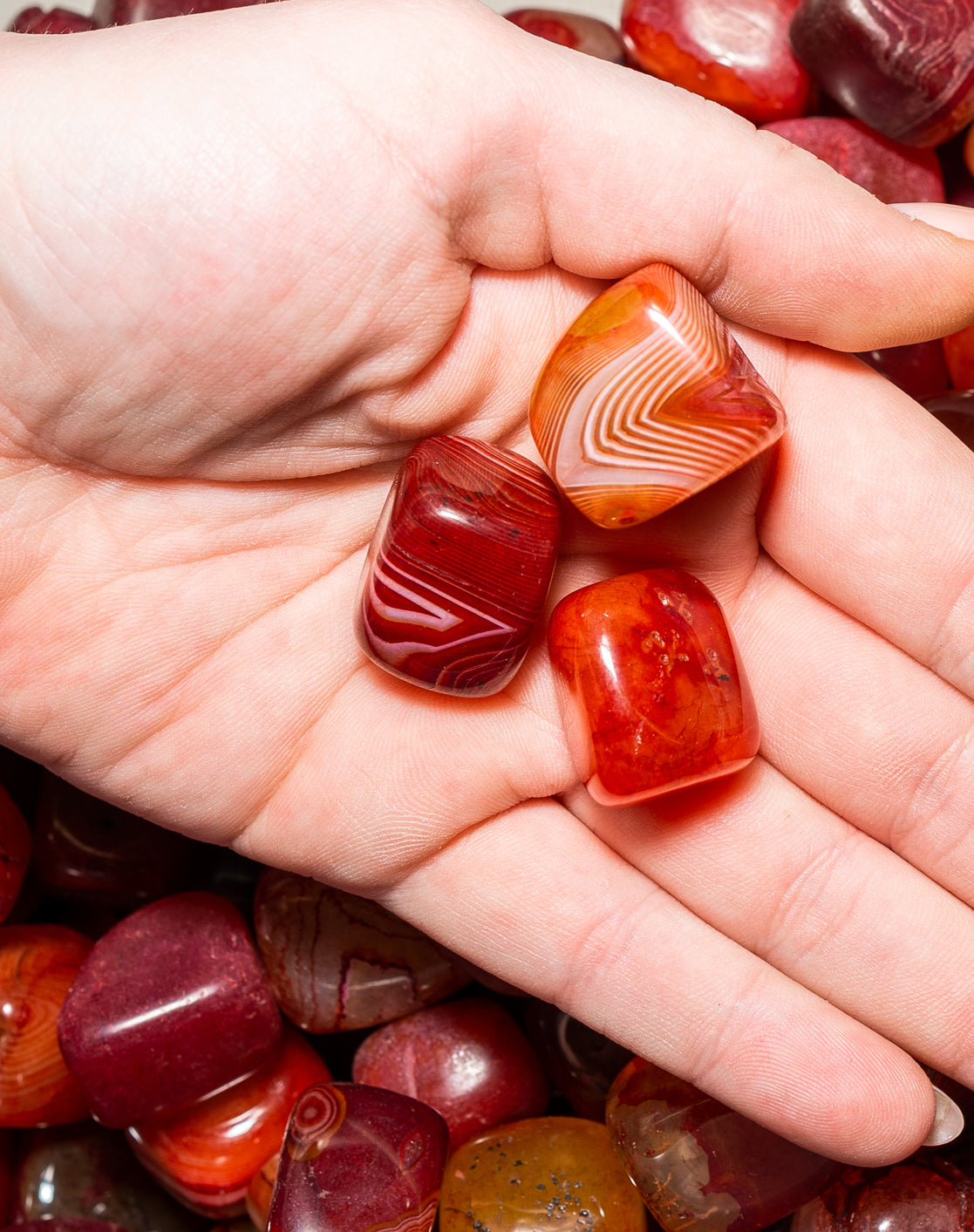 Red Agate Tumbled Crystals Set of 3 (1 Inch)