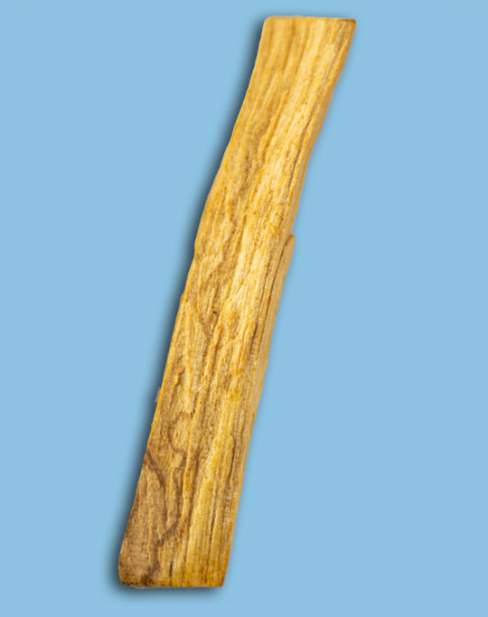 XL Peruvian Palo Santo Stick (Sustainably Sourced)